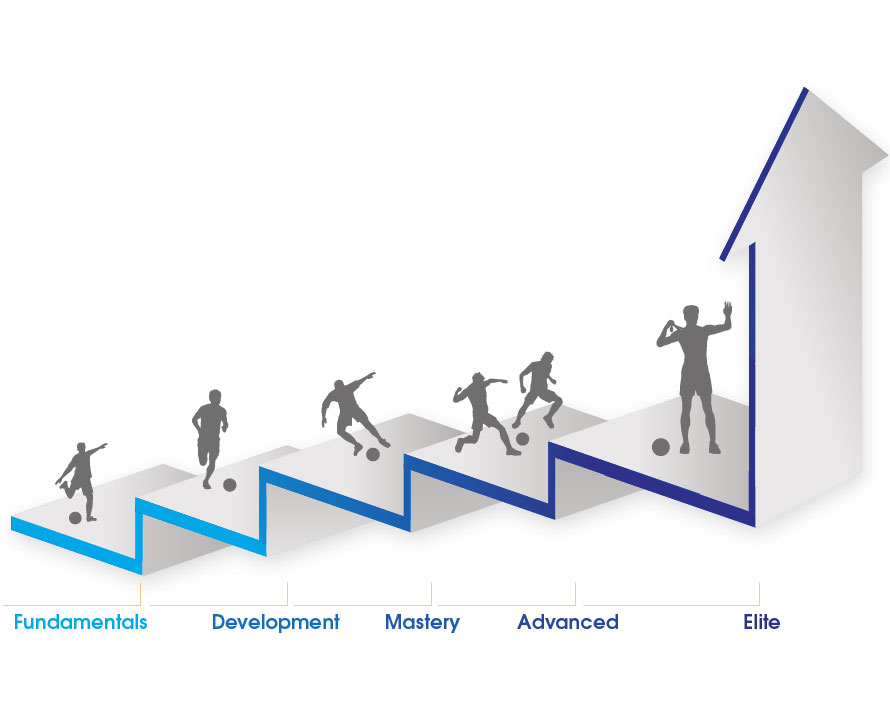 Skill Ladder