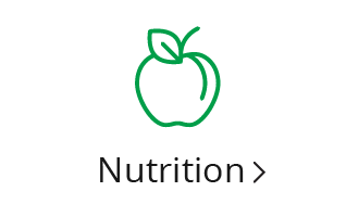 Nutrition icon