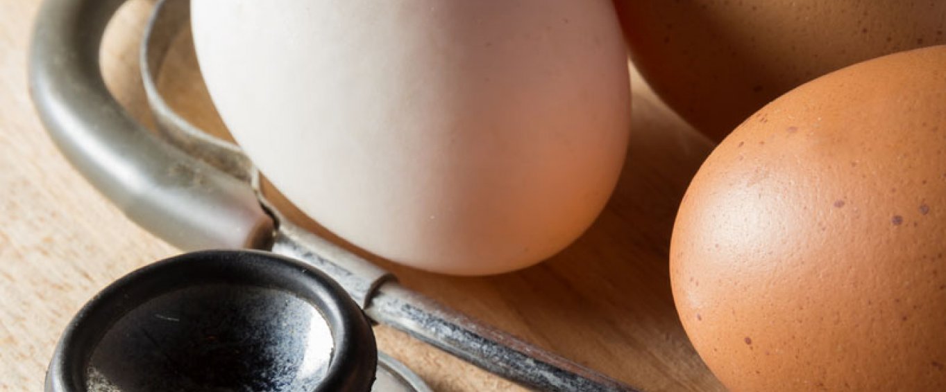 Eggs next to a stethoscope