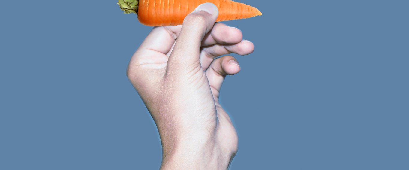 Hand Holding a Carrot