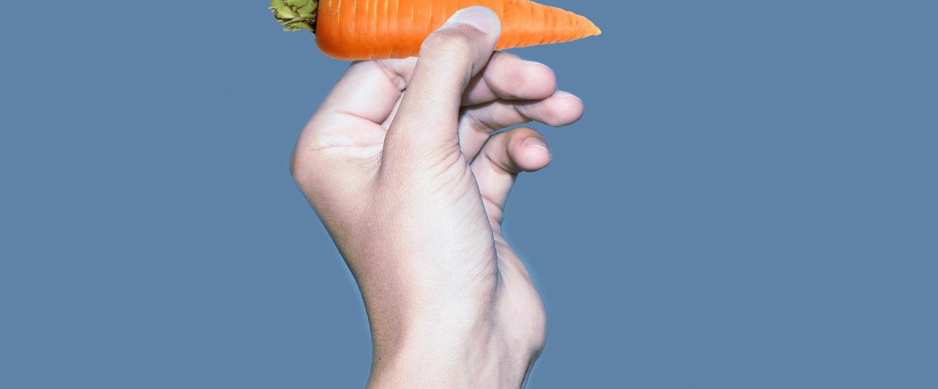 Hand Holding a Carrot Hand Holding a Carrot