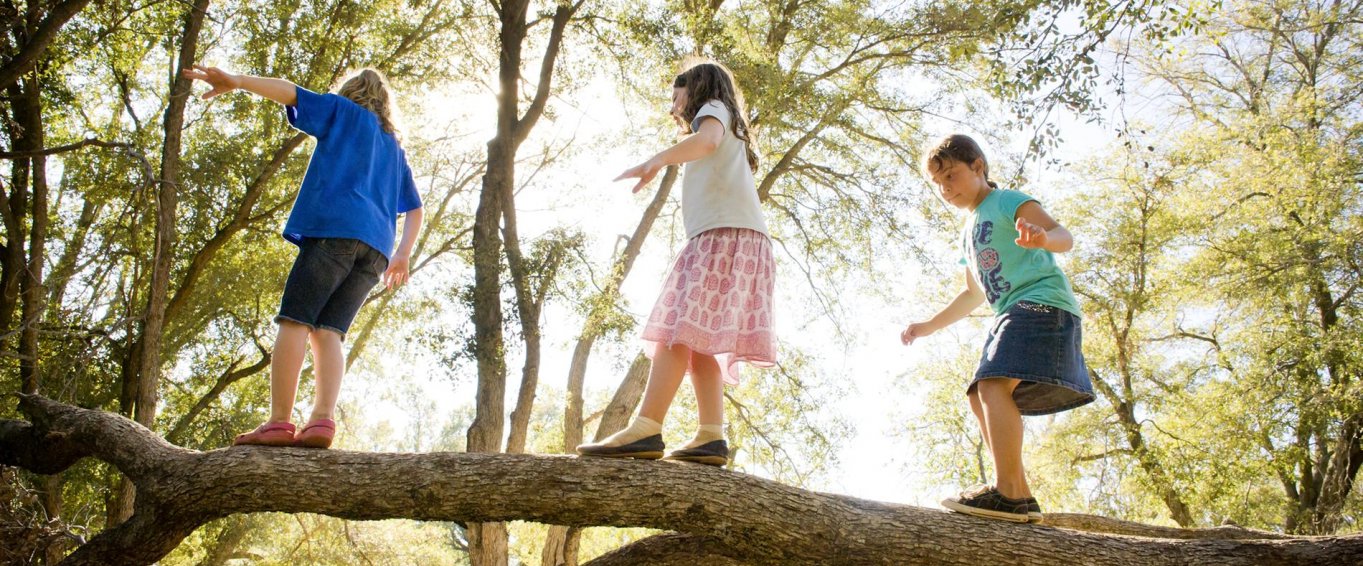 Three Children Balancing on a Tree Branch