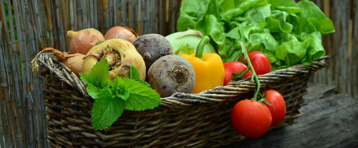 Vegetables in a basket