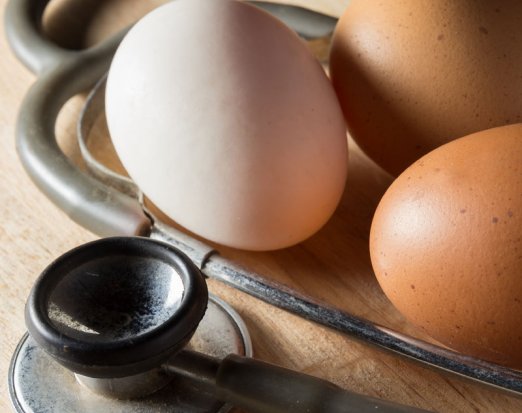 Eggs next to a stethoscope