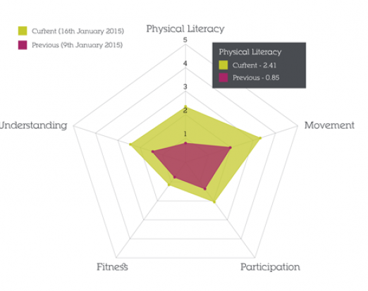Physical Literacy attributes