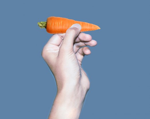 Hand Holding a Carrot