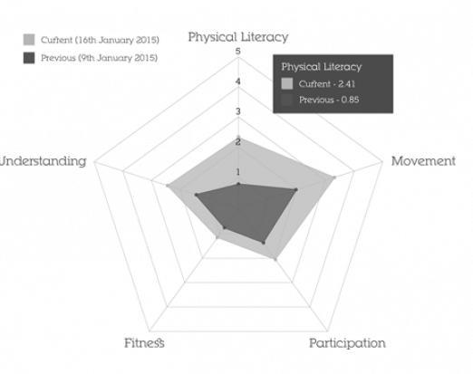 Physical Literacy attributes