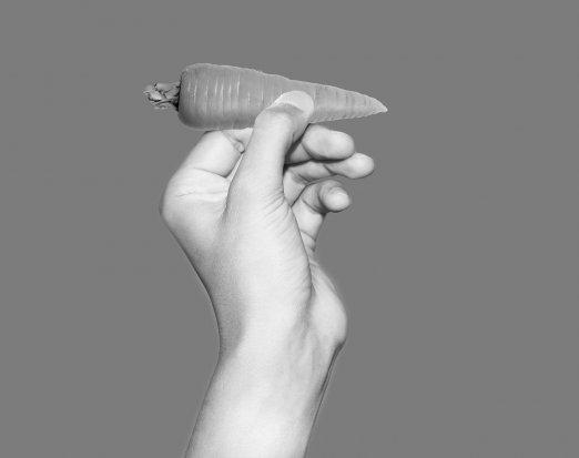 Hand Holding a Carrot