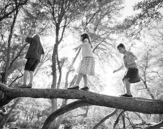 Three Children Balancing on a Tree Branch
